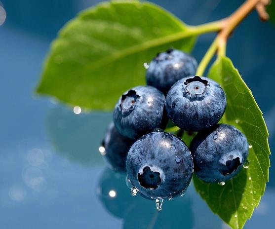 ݮ˶ʲôô
